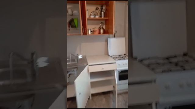 Седова 2024