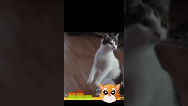 Snapchat-1107521695_094124.mp4