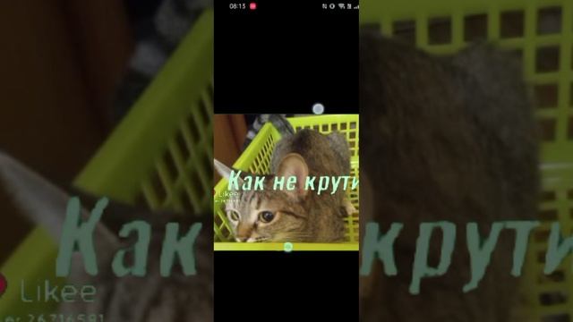 1000009829.mp4
