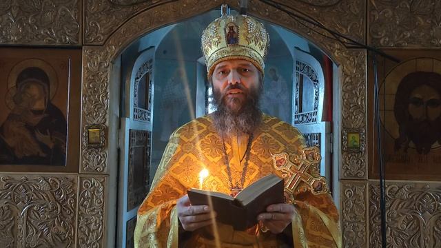 Побила моль овечью шкуру, и волк приходит не таясь. 22.12.24г.