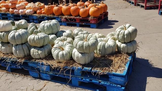 Клубничный бугор :) Базар, Strawberry hill, Bazar .. Южная Каролина