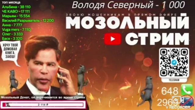 СТРИМ антимошейника 22.12.2024.г