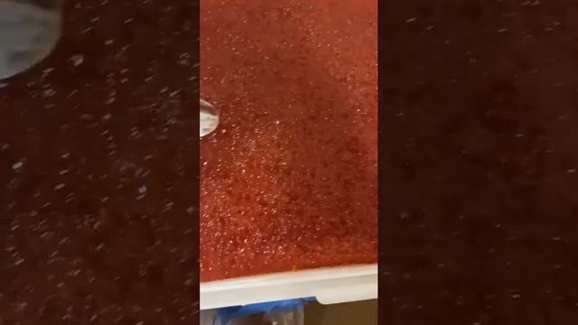 1000065996.mp4