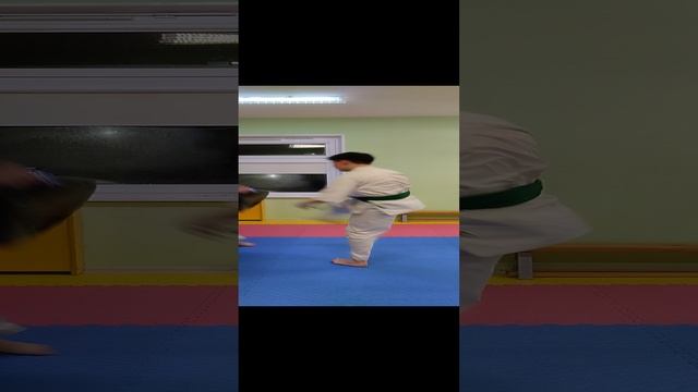 Карате киокушинкай