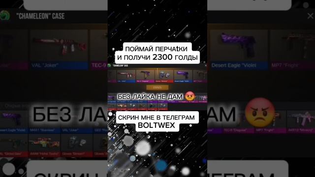 Вечерний актив в студию