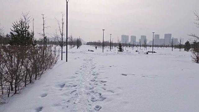 Весенний ботанический сад Астаны 14 марта 2024