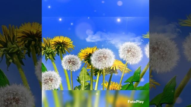 Елена Касьян