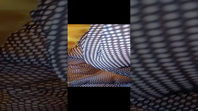1000022971.mp4