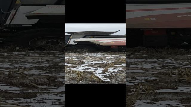 1000007338.mp4