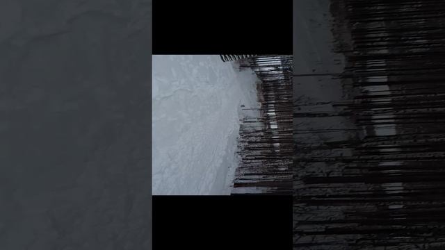 VID_20241222_115422