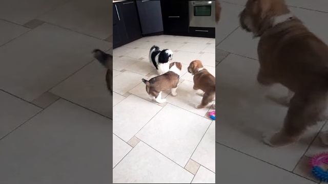 1000001782.mp4