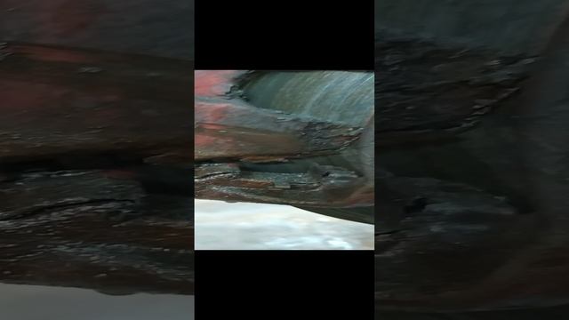 японцы едут до конца