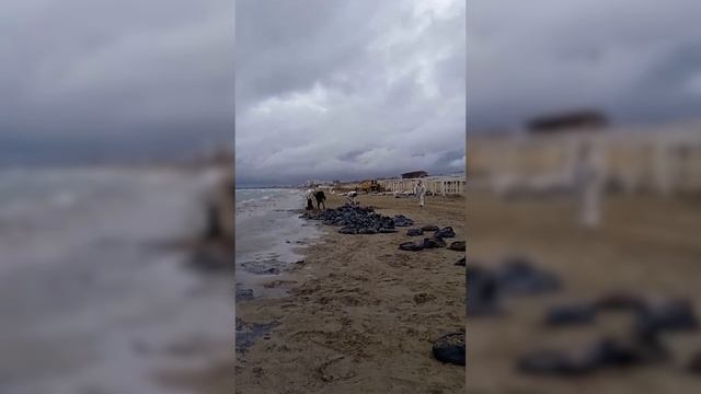 Ликвидация последствий аварии в Керченском проливе