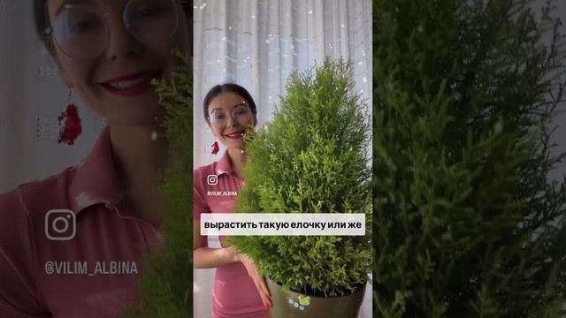 🎄🌲Наставление от сексолога - взрослейте и  берегите природу! #сексолог_вилим #новыйгод #2025