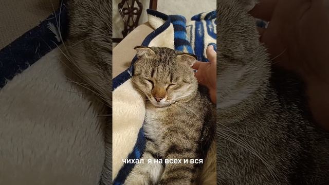 1000082942.mp4