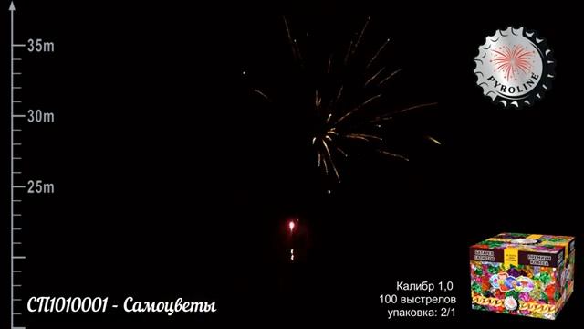 СП1010001 Самоцветы (100 залпов -1") Восточный экспресс magadan-salut.ru