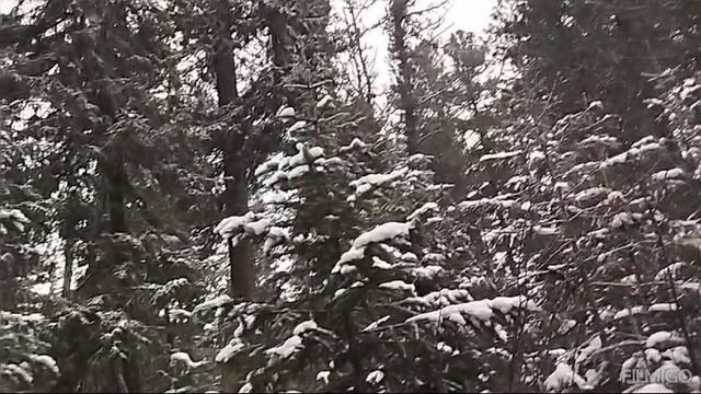 теплый снег