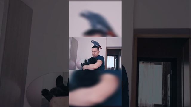 Жако Лорик