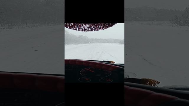 1000010624.mp4