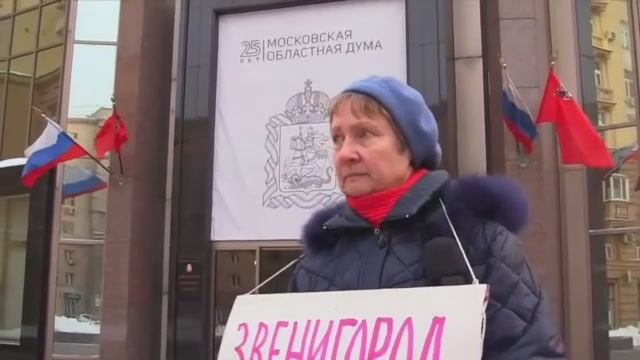 Одиночные пикеты у Мособлдумы 17.01.2019