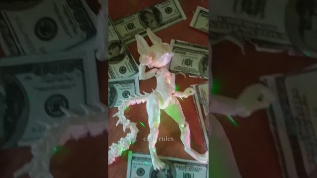 скелетик кот