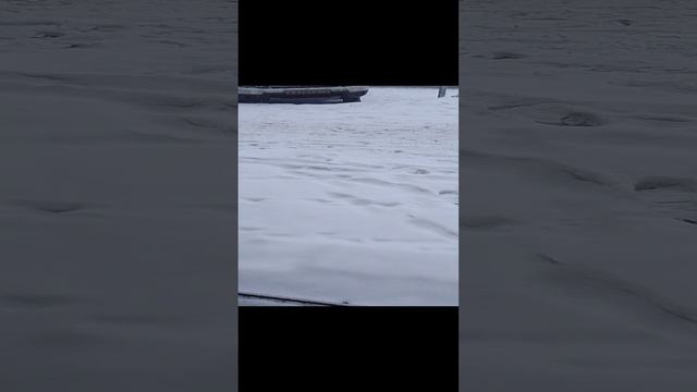 1000022962.mp4