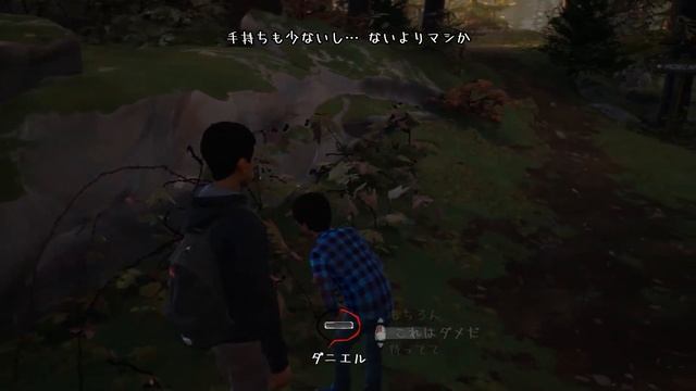 #2 PC 日本語【LIFE IS STRANGE 2】【ライフ イズ ストレンジ2】