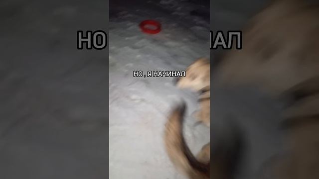 но я начинала одна