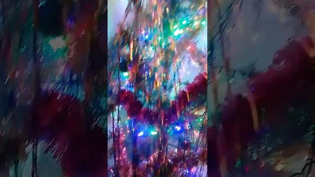 scene_output.mp4