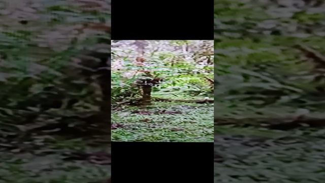 1000006283.mp4