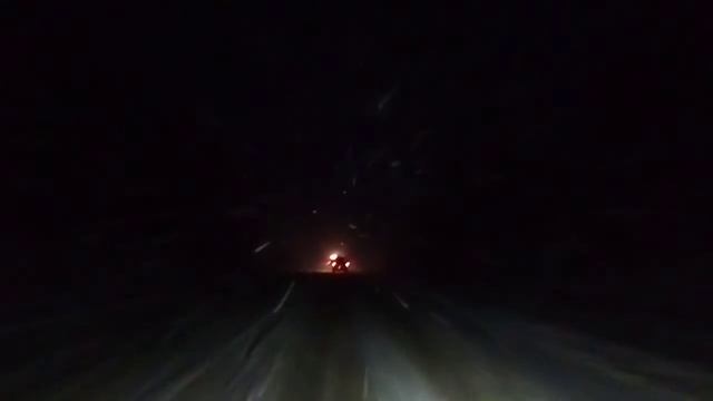 Соломоновы куры