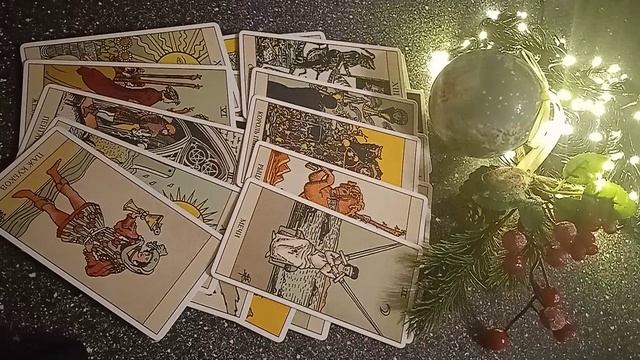 VID_20241222_171144.mp4
