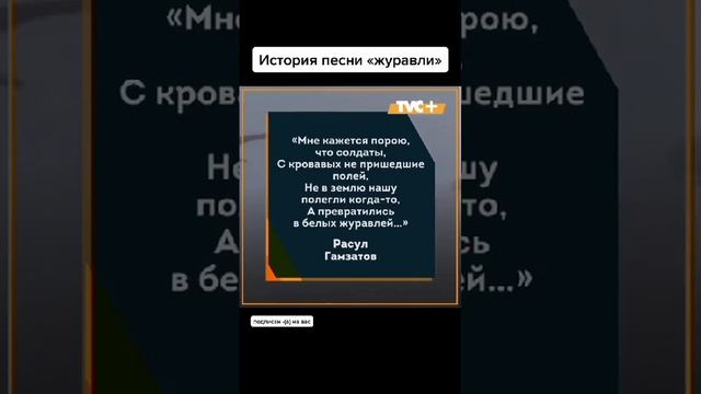 VID-20240509-WA0002.mp4