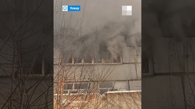 Пожар город Бердск 22.12.2024г