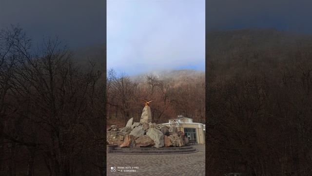 Железноводск 21.12.24