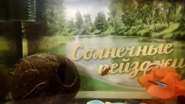 Вопрос минусы содержания рыбок