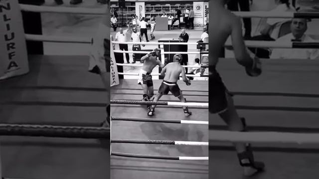 1000000931.mp4