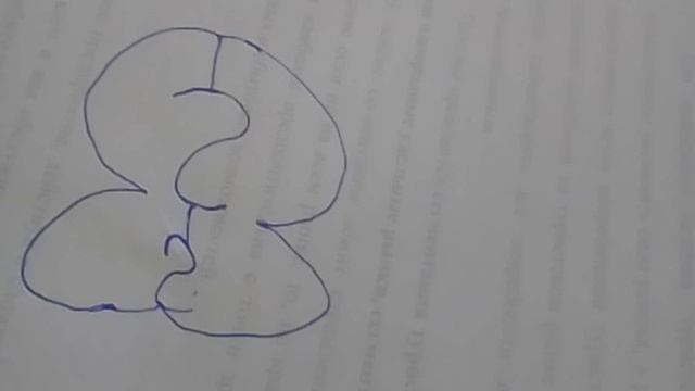 рисунок ипо этапам