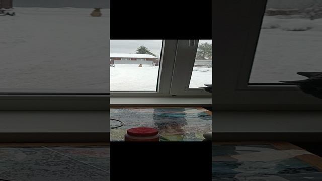 1000151899.mp4