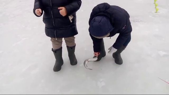 Светлые Горы Форель 22.12.2024г.