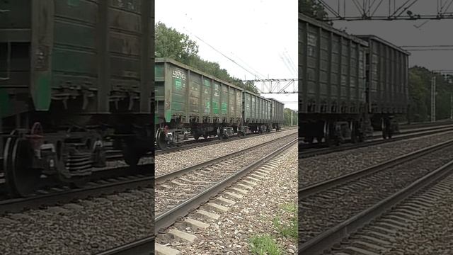 Электровоз ВЛ11.8-739 (ТЧЭ-5) с грузовым поездом.