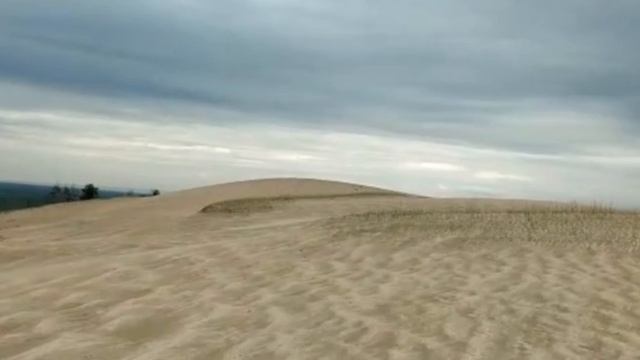 Золотая подкова реки Аргады 🤍