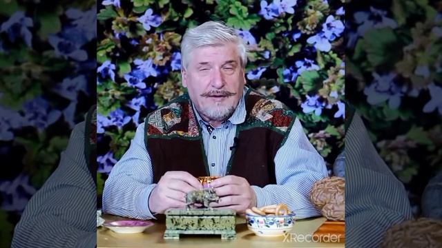 почему умные дети не могут отвечать правильно на простые вопросы.mp4