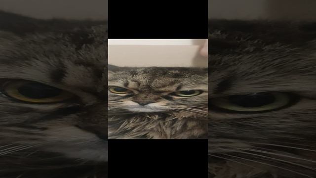 22-12-2024