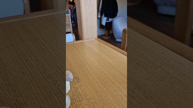 Не бойтесь начать учить английский!