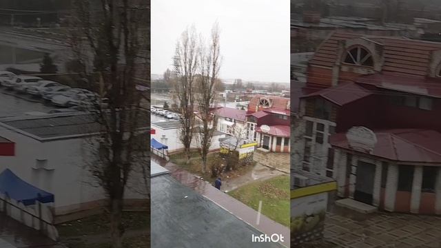 Южная зима. Ейск. 22.12.2024 г.