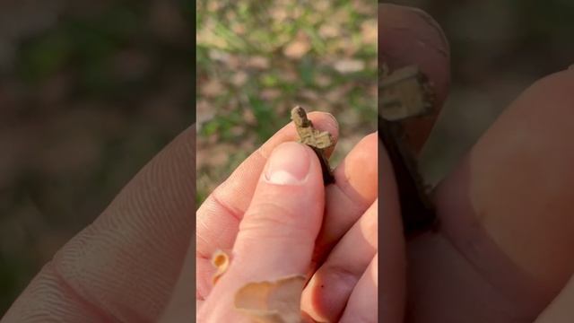 Нашел крестик 16 века на краю оврага🔥 Поиск с металлоискателем