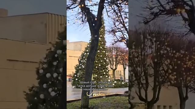 2024-12-22-205518953