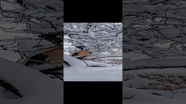 1000002435.mp4