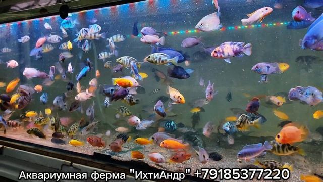 подростки